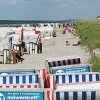 Tour 12: Darß - 1